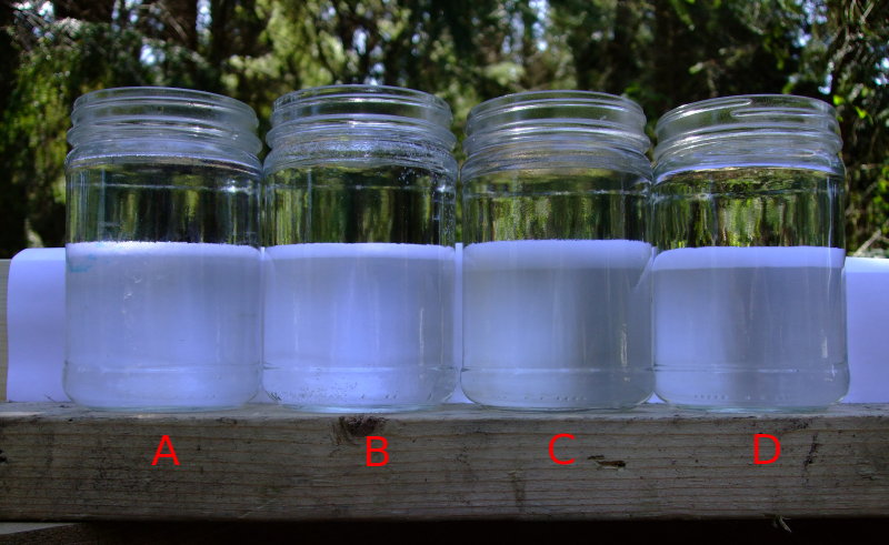 water samples from a slow sand filter and 10 stage filter