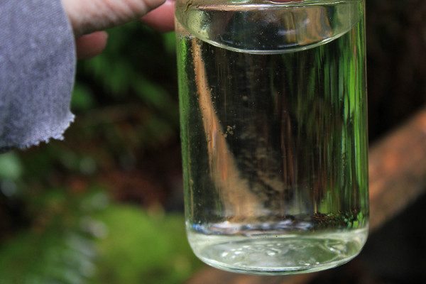 filtered pond water